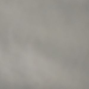 Meet your Posher, Dee dee